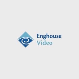 Vidyo logo