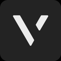 Vise logo