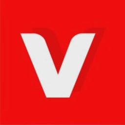 ViViHOLDINGS logo