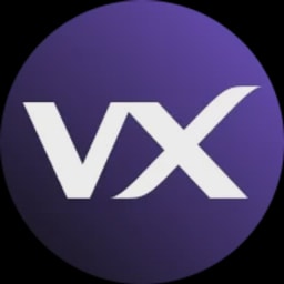 VX Ventures logo