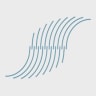 Wave Capital logo
