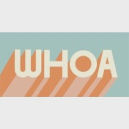 Whoa Ventures logo