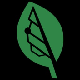 Bigleaf Networks logo