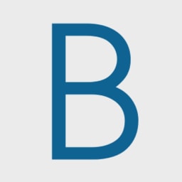 Blue Future Partners logo