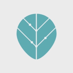 Boundless Mind logo