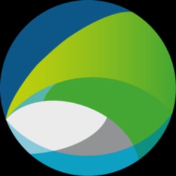 Clean Energy Ventures logo