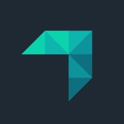 Digital Shadows logo