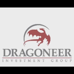 Dragoneer Investment Group logo