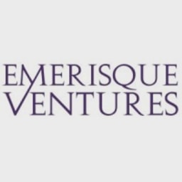 Emerisque Ventures logo