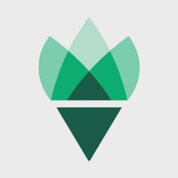 Everside Health logo