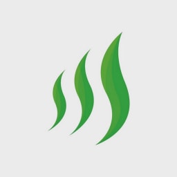 GreenWaves Technologies logo