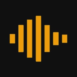 Lightsonic logo