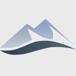 New Rhein Healthcare Investors logo