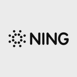 Ning Interactive logo