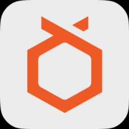 Orange Charger logo