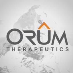 Orum Therapeutics logo