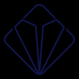 Paypa Plane logo
