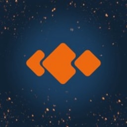 Platinum Software Development Company logo