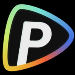 Pollo AI logo