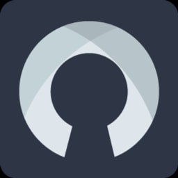 RAYDIAX logo