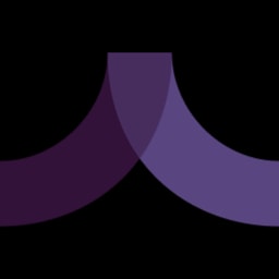 Razberi Technologies logo