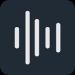 Revoize logo