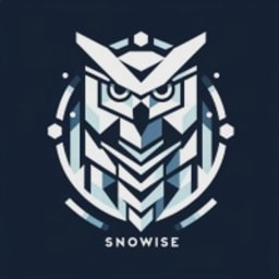 Snowise Technologies logo