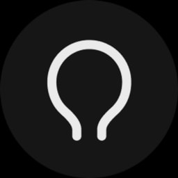 Solve Intelligence logo