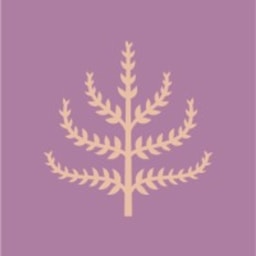 Spring & Mulberry logo