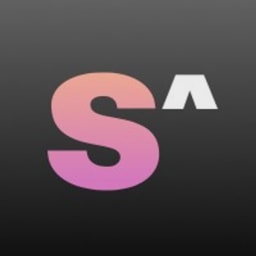 Standard AI logo