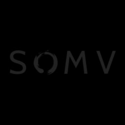 State of Mind Ventures logo