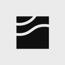 Subsquid logo