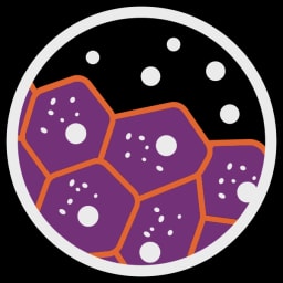 Switch Therapeutics logo