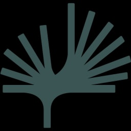 Syntropic Medical GmbH logo