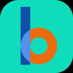 The bina School logo