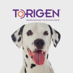 Torigen Pharmaceuticals logo