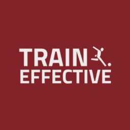 Train Effective logo