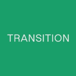 Transition Global logo