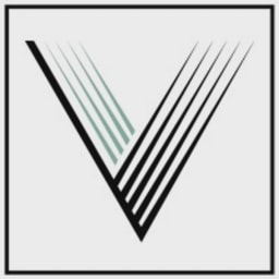 Validus Capital logo
