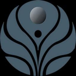 Value Internet Fund logo