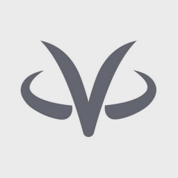 VirtualZ Computing logo