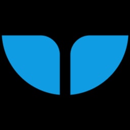 Whalesync logo