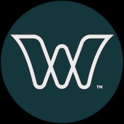 World View Enterprises logo